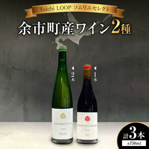 �y�ӂ邳�Ɣ[�ŁzYoichi LOOP �\�����G�Z���N�g �]�s���Y���C�� �y��/���zAMAMITSUKI 2024�EPASSETOUTGRAIN 2024 3�{�Z�b�g �k�C�� �]�s�� ��������