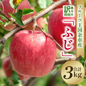 yӂ邳Ɣ[Łz y 2025N11{蔭 zt[c]sY 󂠂 u ӂ v 3kgy jgόʎ z ʕ S ь t[c  ӂ AbvpC X[W[ 