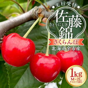 �y�ӂ邳�Ɣ[�Łz�y2026�N�Y ��s�\��z���k�C���]�s�Y���������ځu�����сv�iM�`2L�T�C�Y�o���l�߁j500g × 2�p�b�N 1kg �t���[�c �ʕ� �ʎ� �]�s�Y �^���g �W���� �f�U�[�g �T�N�����{ sakuran