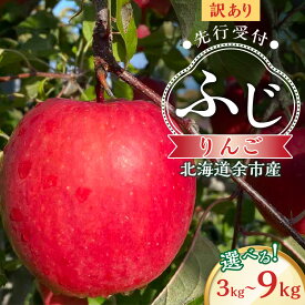 【ふるさと納税】＼ 内容量が選べる ／ 訳アリ 高糖度 りんご（ふじ） 北海道余市町産 パリッとジューシー 北海道産 りんご予約 北海道りんご 高糖度 酸味 甘味 バランス 果肉 果物 フルーツ 旬 北海道 余市町 送料無料