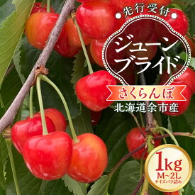【ふるさと納税】【2026年産 先行予約】＜北海道余市産＞さくらんぼ「ジューンブライド」（M～2Lサイズバラ詰め）500g × 2パック 1kg【 北海道アグリドリーム 】チェリー フルーツ 先行予約 果物 期間限定 季節限定 北海道 余市町 送料無料