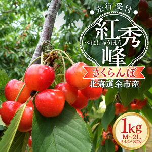 yӂ邳Ɣ[Łzy2026NY s\zkC]sYځugGviM`2LTCYol߁j500g × 2pbN 1kgy kCAOh[ z`F[ t[c s\ ʕ Ԍ