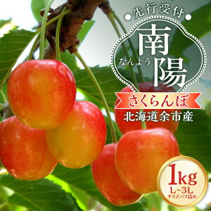 yӂ邳Ɣ[Łzy2026NY s\zkC]sYځuzviL`3LTCYol߁j500g×2pbNy kCAOh[ z`F[ t[c s\ ʕ Ԍ G