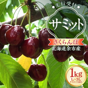 yӂ邳Ɣ[Łz y2026NY s\zkC]sYځuT~bgviL`3LTCYol߁j500g × 2pbN 1kgy kCAOh[ z`F[ t[c s\ ʕ 