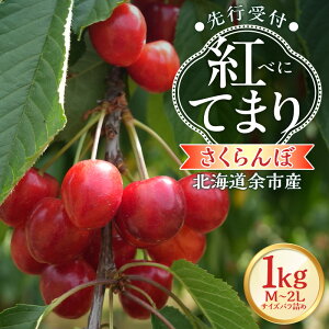 yӂ邳Ɣ[Łzy2026NY s\zkC]sYځugĂ܂viM`2LTCYol߁j500g×2pbNy kCAOh[ z`F[ t[c s\ ʕ Ԍ 