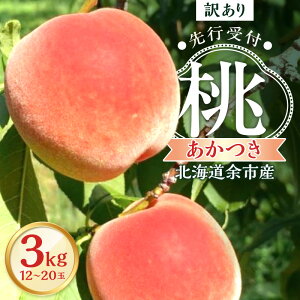 yӂ邳Ɣ[Łzy s\ 2026N8{蔭 z kC]sY A u  v3kgi 12 ` 20 jy kCAOh[ zƒp ʕ W [Og P[