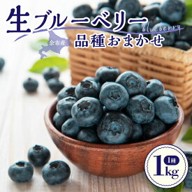 【ふるさと納税】【2026年7月中旬頃より発送】海外も認める高品質 生ブルーベリー 1kg ( 500g×2 ) 日本最大級農場産 手摘み収穫 アイケイファーム余市 ブルーベリー 順次発送 食べ比べ 青果 フルーツ 果物 スムージー ジュース ヨーグルト ジャム 北海道 余市町 送料無料