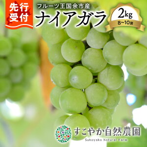 yӂ邳Ɣ[Łz2025Ny s\ zߘa7NY Ԃǂ ( iCAK ) 2Kg  8`10[y ₩R_ z ʕ t[c Ԃǂ uhE fU[g v[g 蕨 Mtg x W