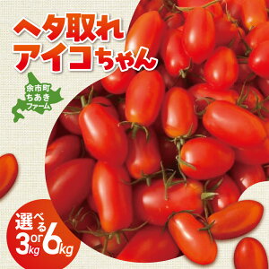 yӂ邳Ɣ[ŁzyIׂeʁIzIw^g}gACR ~jg}g kC ]s 