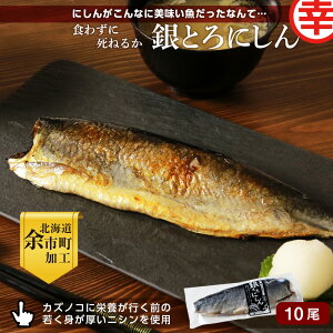 【ふるさと納税】【先行予約:2025年11月上旬以降発送】にしんがこんなに美味い魚だったなんて・・・食わずに死ねるか「銀とろにしん」 にしん ニシン 魚 冷凍 魚介 伝統 焼き魚 海鮮 ご当