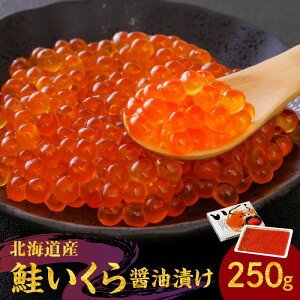 yӂ邳Ɣ[ŁzkC̖ | VN i  ݖЂ 250g H CN  TP   CN 瘥 芪i 炵i i R apX^ T_ ͂̂ Pi