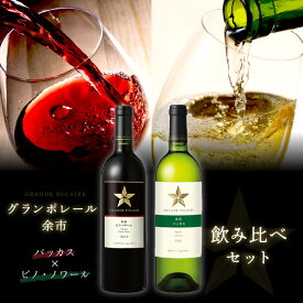 【ふるさと納税】グランポレール 〜余市 バッカス×ピノ・ノワール〜飲み比べセット