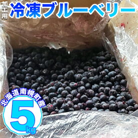 【ふるさと納税】北海道産 冷凍ブルーベリー 加工用 5kg 8月上旬より発送開始 南幌町 JAなんぽろ直送 NP1-345 【9月30日受付終了】