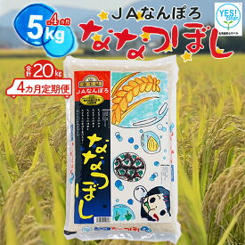 【ふるさと納税】ななつぼし 20kg（5kg×4カ月定期便）令和5年産 YES!clean 北海道安心ラベル 北海道南幌町 南幌町 NP1-461