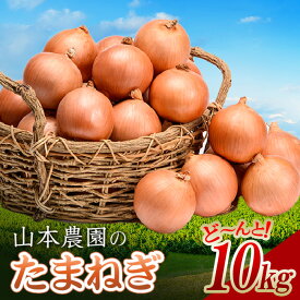 【ふるさと納税】北海道産 山本農園のたまねぎ 10kg L大サイズ中心 農薬4割減 北海道南幌町産 2026年10月上旬発送開始 NP1-306