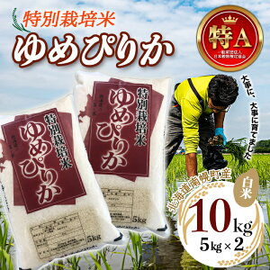 yӂ邳Ɣ[Łzʍ͔| ߘa7NY ߂҂肩iāj5kg×2 2025N10Jn V NP1-408