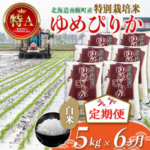 yӂ邳Ɣ[Łzsցtߘa7NYV ʍ͔| ߂҂肩iāj5kg×6 NP1-263