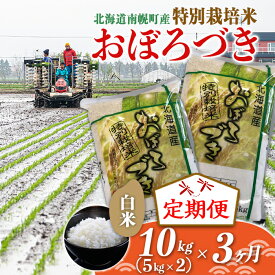 【ふるさと納税】《定期便》特別栽培米 おぼろづき（白米）5kg×2袋×3ヵ月 NP1-071
