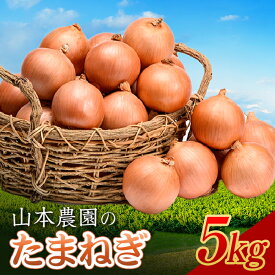 【ふるさと納税】北海道産 山本農園のたまねぎ 5kg L大サイズ中心 農薬4割減 北海道南幌町産 2026年10月上旬発送開始 NP1-161