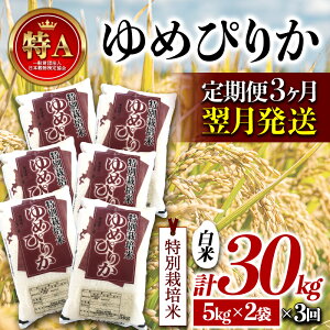 yӂ邳Ɣ[Łzs3Jtʍ͔| ߘa6NY ߂҂肩  10kg Jn kCY y A NP1-411