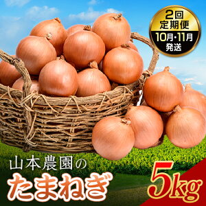 yӂ邳Ɣ[ŁzkCY ܂˂ uR{_̂܂˂vL`LTCYO 5kg 2ցi10E11jyY ʂ˂ ^}lM ʔK NP1-152