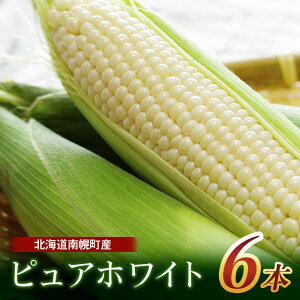 yӂ邳Ɣ[Łzߘa7N kCY Ƃ낱 sAzCg6{ ̂ ԉ Yn Ƃ y NP1-178