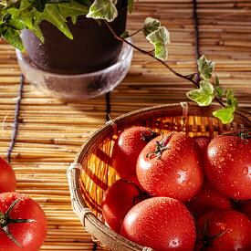 【ふるさと納税】江口農園完熟つぶしトマト