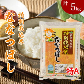 【ふるさと納税】特別栽培米ななつぼし5kg