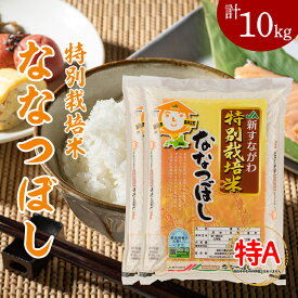 【ふるさと納税】特別栽培米ななつぼし10kg（5kg×2袋）