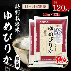 【ふるさと納税】日経トレンディ「米のヒット甲子園」大賞受賞「特栽米ゆめぴりか無洗米5kg×2袋」定期便！毎月1回・計12回お届け