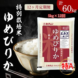 【ふるさと納税】日経トレンディ「米のヒット甲子園」大賞受賞『特栽米ゆめぴりか5kg』定期便！毎月1回・計12回お届け