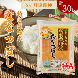 【ふるさと納税】『特別栽培米ななつぼし5kg』定期便！毎月1回・計6回お届け