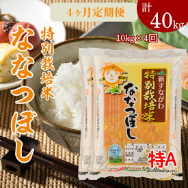【ふるさと納税】『特別栽培米ななつぼし5kg×2』定期便！毎月1回・計4回お届け