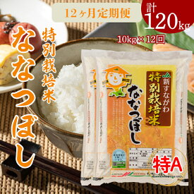 【ふるさと納税】『特別栽培米ななつぼし5kg×2』定期便！毎月1回・計12回お届け