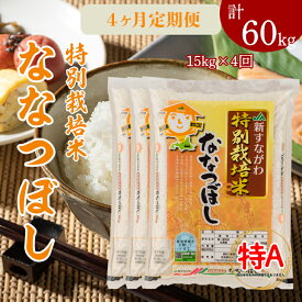 【ふるさと納税】『特別栽培米ななつぼし5kg×3』定期便！毎月1回・計4回お届け