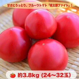 【ふるさと納税】上杉ファーム　桃太郎ファイト約3.8kg