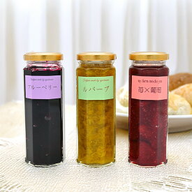 【ふるさと納税】江口農園　果実ぎっしりジャム　3本セットD