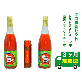 【ふるさと納税】【定期便3回】江口農園　江口農園セット