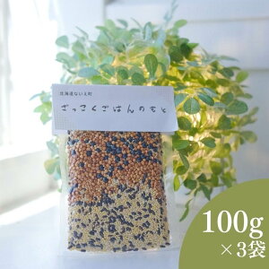 yӂ邳Ɣ[Łz͂̂3܃Zbg