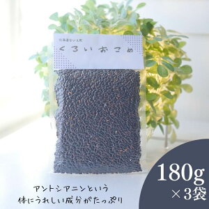 yӂ邳Ɣ[Łz낢߁@3܃Zbg