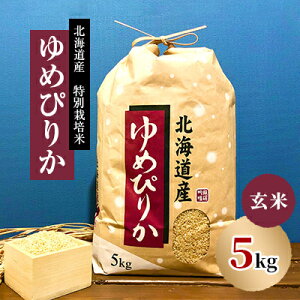 yӂ邳Ɣ[Łzys\zʍ͔| yߘa7NYzkCY߂҂肩 5kg@āy1532875z