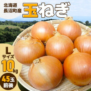 �y�ӂ邳�Ɣ[�Łz�k�C���������Y�ʂ˂�L�T�C�Y 10kg�y1693736�z