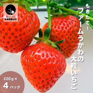 yӂ邳Ɣ[ŁzāIkCYt@[̑嗱s2pbNE4pbNt