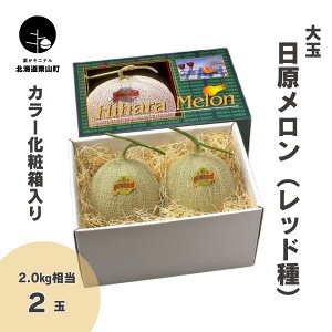 yӂ邳Ɣ[ŁzkCY ʁuibhjv2.0kg J[ϔs1ʁE2ʁt