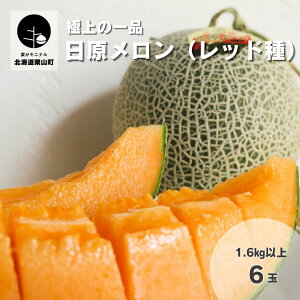 yӂ邳Ɣ[ŁzkC ɏ̈iuibhjv1.7kgs1ʁE 2ʁE3ʁE4ʁE6ʁt