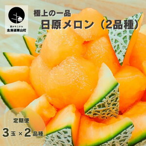 yӂ邳Ɣ[Łzys\zkCY ɏ̈iuiLOEbhjv2i ցs1ʁE 2ʁE3ʁt