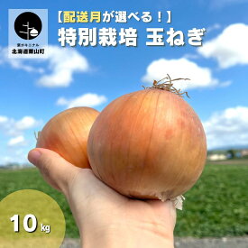 【ふるさと納税】発送月選択可能！北海道産 特別栽培 玉ねぎ10kg 《9月・10月・11月・12月・2027年1月発送》