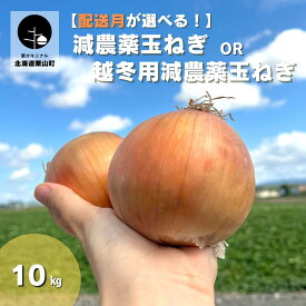 【ふるさと納税】発送月選択可能！北海道産 減農薬玉ねぎ10kg 《9月・10月・11月・12月・2025年1月発送》