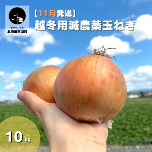 yӂ邳Ɣ[ŁzI\IkCY _ʂ˂10kg s9E10E11E12E2026N1t