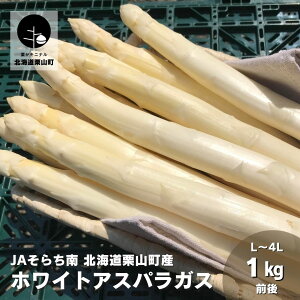 yӂ邳Ɣ[Łzys\ztԁIJA炿̖ouzCgAXpKXv1kgO